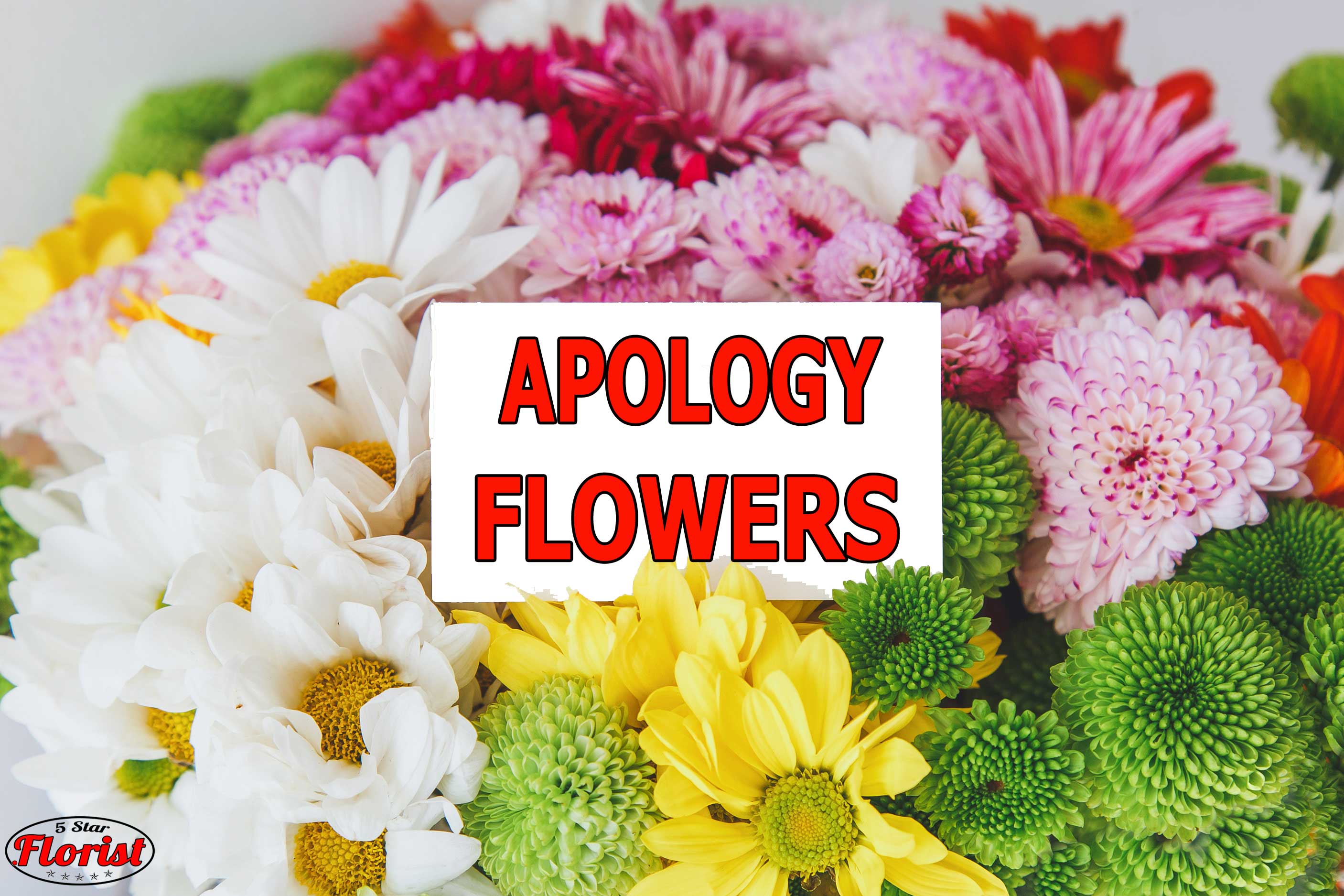 apology flowers Citrus Heights