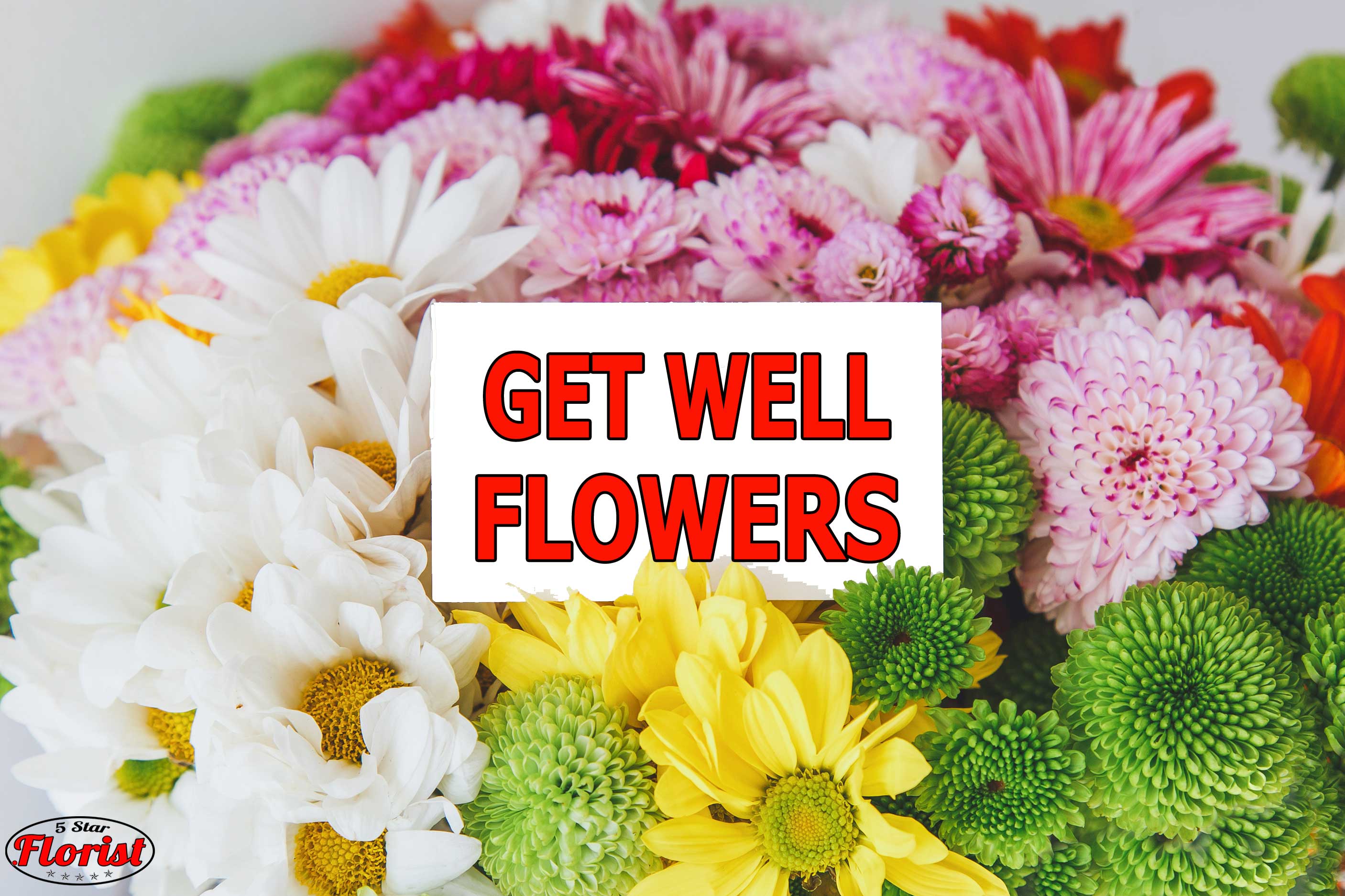 get well flowers Citrus Heights