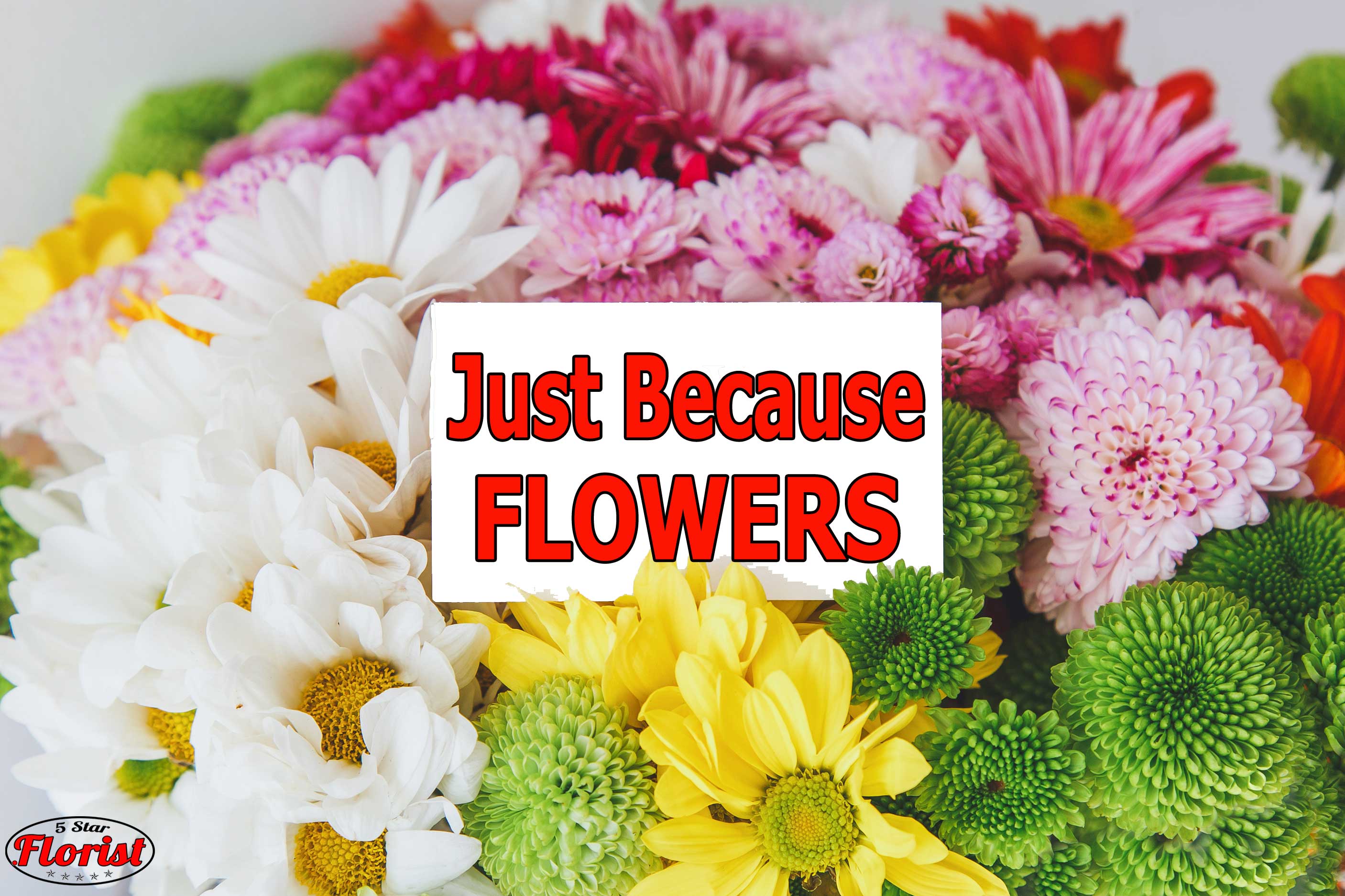 just-because-flowers Citrus Heights