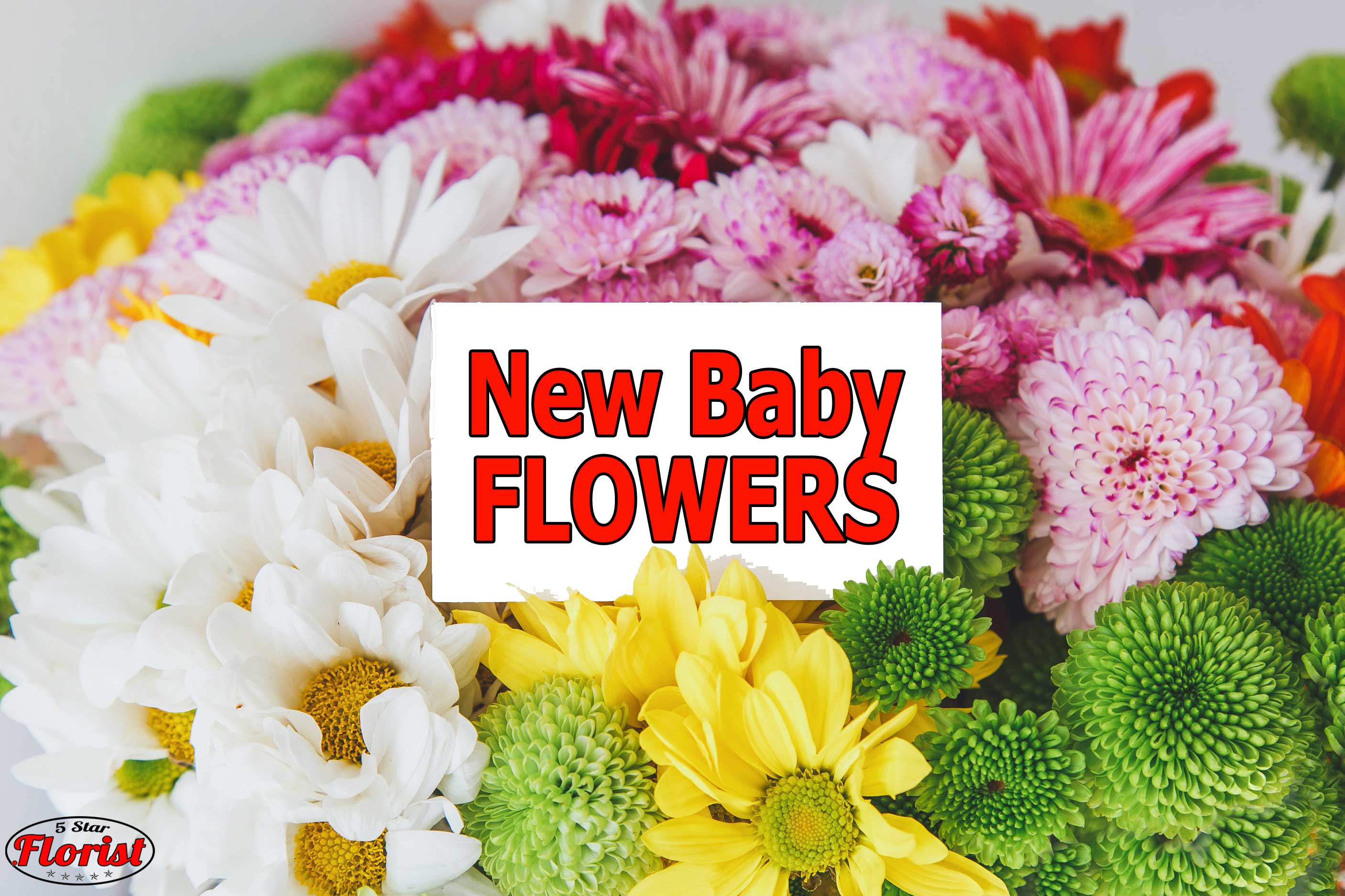 new baby flowers Citrus Heights